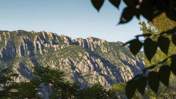 EADA Collabtó - Campus 3 - View Montserrat