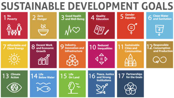 Sustainable Development Goals - Objetivos de Desarrollo Sostenible