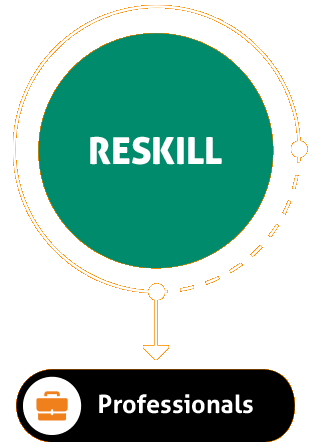 Reskill - Professionals